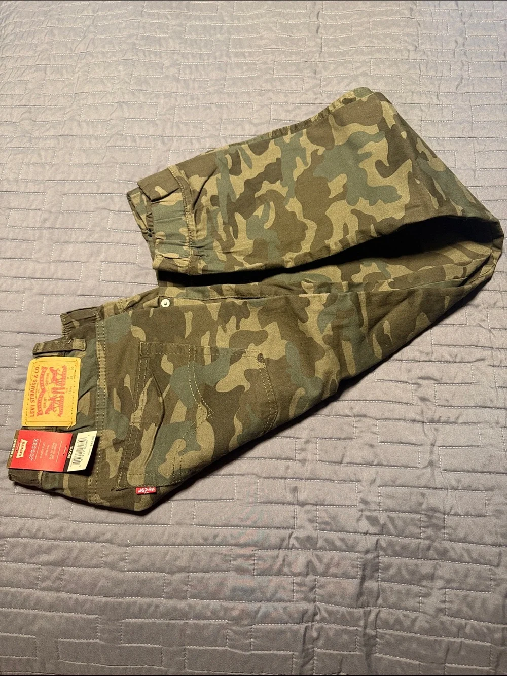 Levi's Boys Camo Jogger Pants in Green and Brown